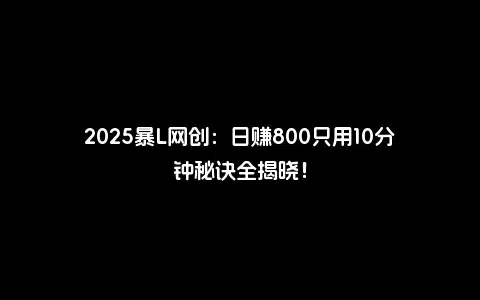 2025暴L网创：日赚800只用10分钟秘诀全揭晓！