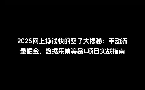 2025网上挣钱快的路子大揭秘：手动流量掘金、数据采集等暴L项目实战指南