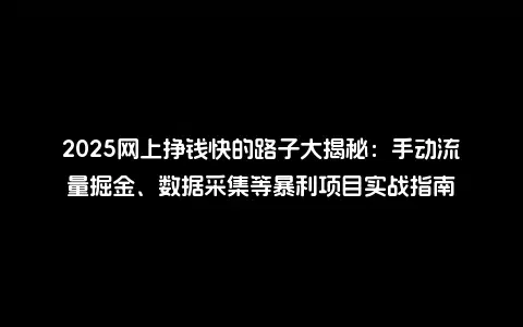 2025网上挣钱快的路子大揭秘：手动流量掘金、数据采集等暴利项目实战指南