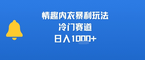 情趣内衣暴L玩法，冷门赛道，日入1k+