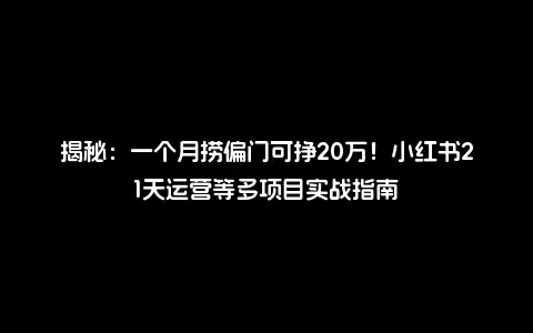 揭秘：一个月捞偏门可挣20万！小红书21天运营等多项目实战指南