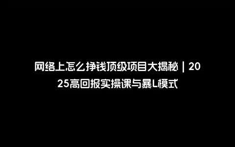 网络上怎么挣钱顶级项目大揭秘 | 2025高回报实操课与暴L模式