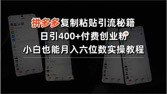 拼多多复制粘贴引流秘籍，日引400+付费创业粉，小白也能月入六位数实操...