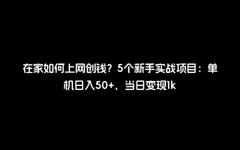 在家如何上网创钱？5个新手实战项目：单机日入50+、当日变现1k