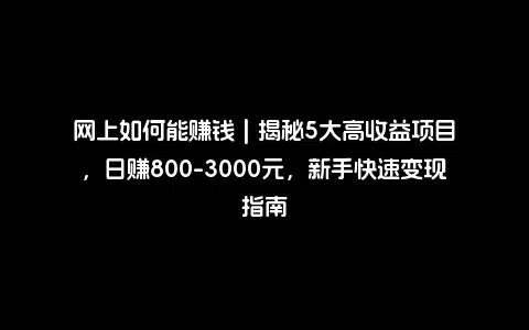 网上如何能赚钱 | 揭秘5大高收益项目，日赚800-3000元，新手快速变现指南