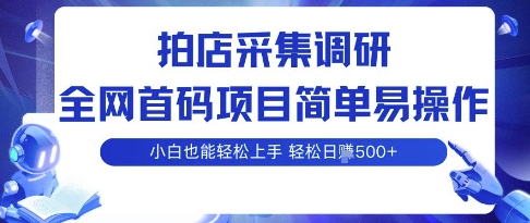 拍店采集调研，全网首码项目，简单易操作， 小白也能轻松上手，多账号操作，轻松日入5张