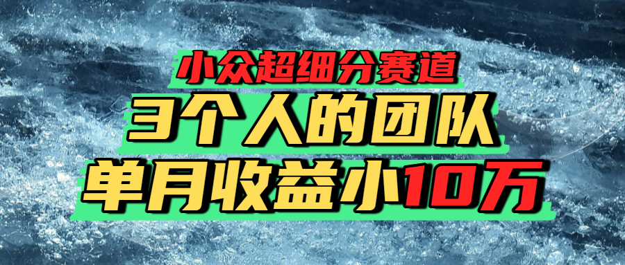 小众超细分赛道，一年百万利润的盘子！
