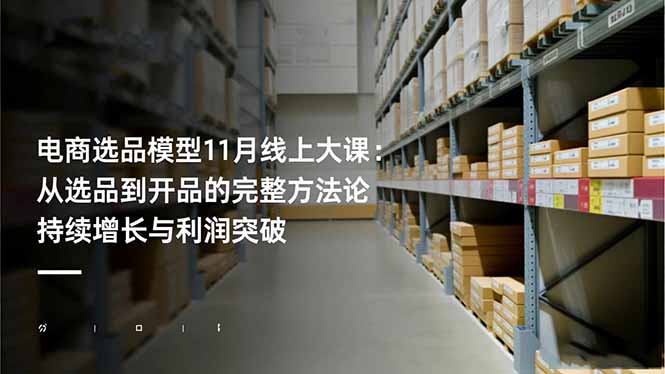 电商选品模型11月线上课程：从选品到开品的实战策略 实现持续增长与利润提升