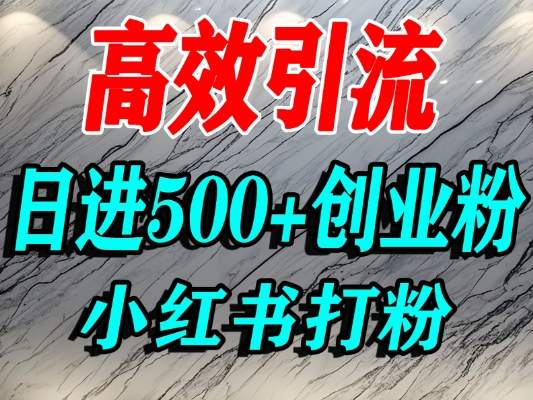 小红书300步骤0元预算项目实操：单人高效引流精准创业粉的实战指南