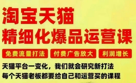 淘宝天猫精细化爆品运营课：免费流量打法、付费广告放大与利润增长实战攻略