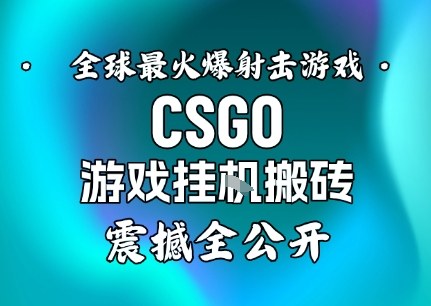 【年终分享】CSGO游戏赚钱策略实操指南：被动收入思路与案例拆解