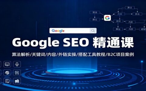 Google SEO 实战教程：算法解析/关键词/内容/外链实操/工具指南/被动收入案例