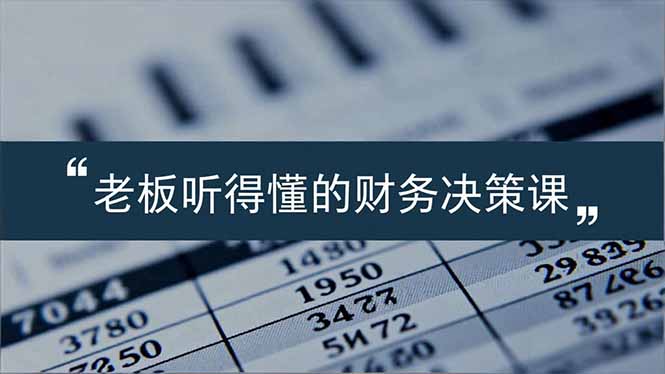 老板易懂的财务决策实战课：报表解读、数据洞察、风险识别，助力业务增长策略