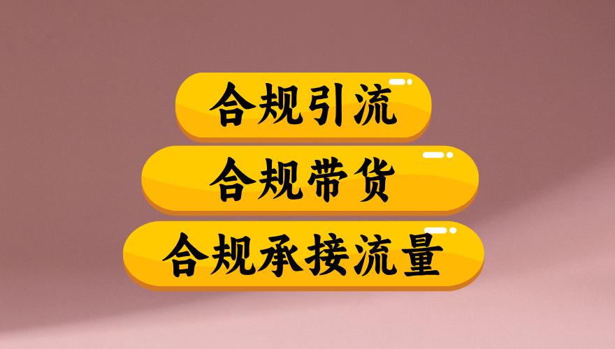 2025合规引流带货实战：高效承接流量策略拆解