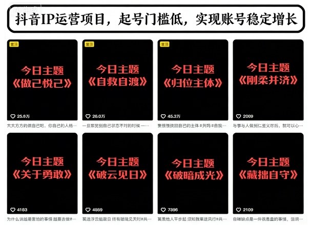 抖音IP运营实战攻略：低门槛起号与稳定增长变现方法