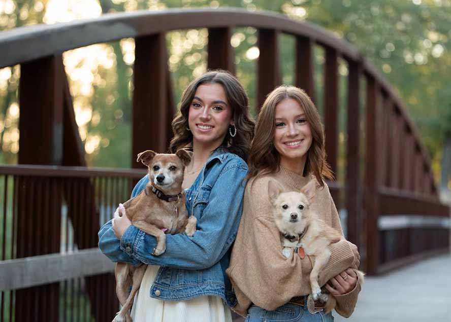 大师级GTG出品-老友记系列AI自适应被动收入实战指南 大师级GTG出品-老友记系列AI自适应被动收入实战指南