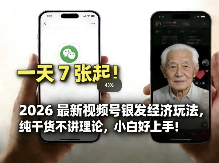 20252026视频号银发经济变现实战：新手入门指南-网赚利基市场