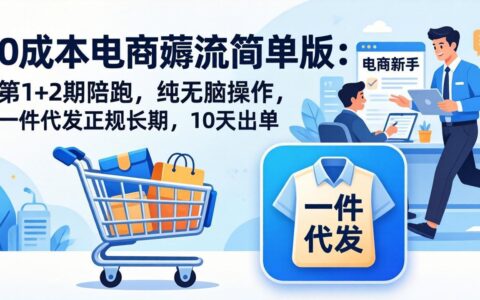低成本电商流量项目：第1+2期陪跑指南，简单操作策略，一件代发正规长期，实测出单案例