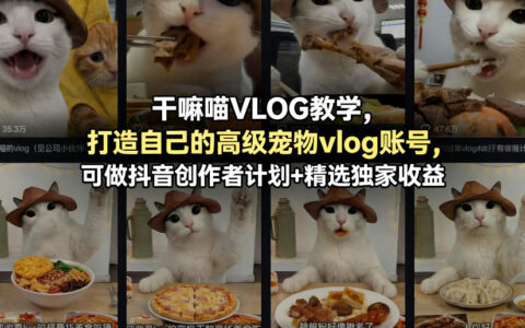 干嘛喵VLOG教学：打造宠物vlog账号实战攻略，抖音创作者计划变现指南