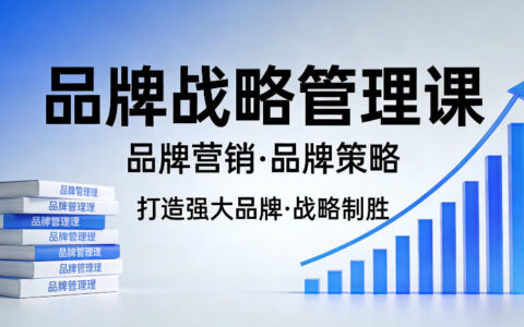2025品牌战略管理实战课：营销策略与盈利指南
