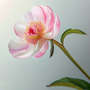 深蓝创想