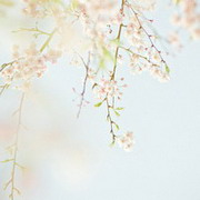 生活家