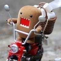 键盘侠小张