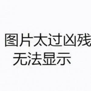 数码老张88