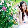 骆驼沙漠客