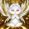 晓风