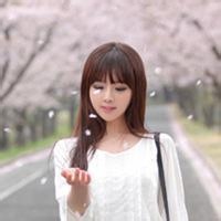 糖果纸艺术家