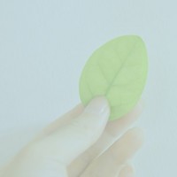 沙沙沙
