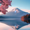 荆芥