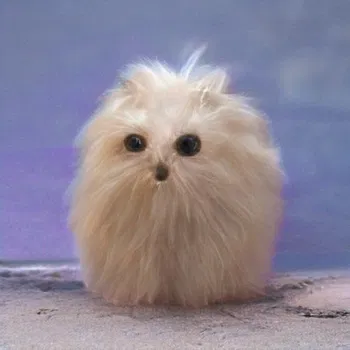 瞌睡的小熊猫
