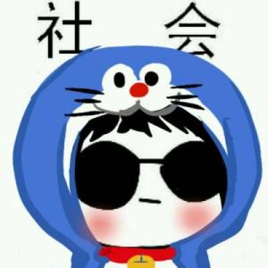 阳光下的懒猫