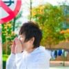 樱花茶
