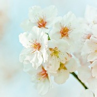追剧小能手