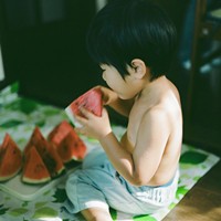 电线杆上的鸟