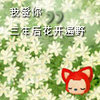 蜗牛梦想家
