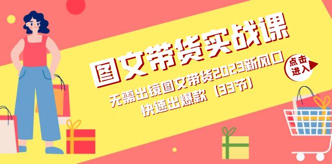 图文带货实战课：无需出镜图文带货2024新风口，快速出爆款（33节）