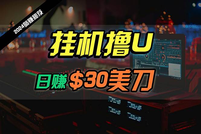 日赚30美刀，2024最新海外挂G撸U内部项目，全程无人值守，可批量放大