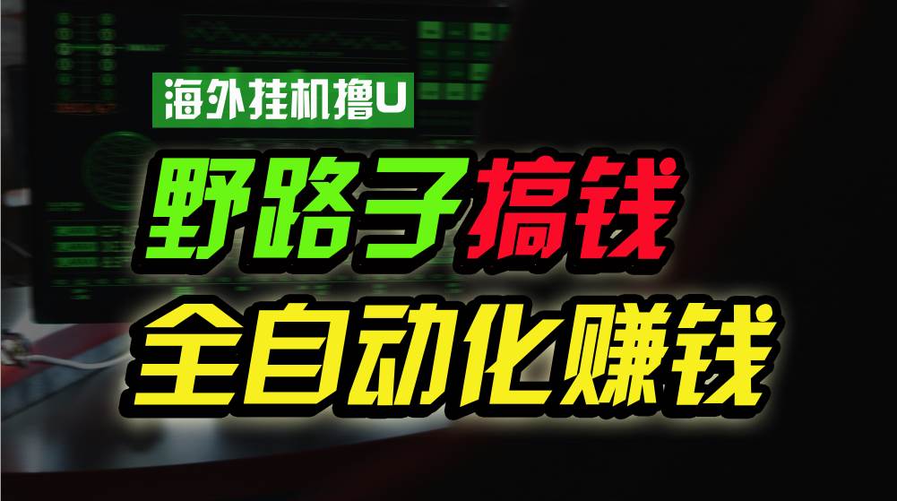 海外挂机撸U新平台，日赚8-15美元，全程无人值守，可批量放大，工作室内...