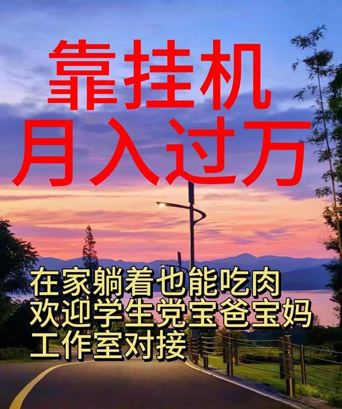 靠挂G，日入1000+，躺着也能吃肉，电脑手机都可挂